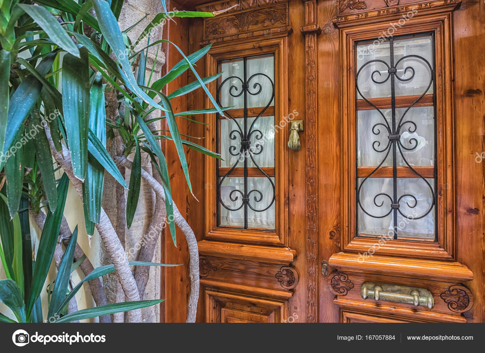 Closed old vintage wooden door with windows and plant behind it ... Closed old vintage wooden door with windows and plant behind it ...