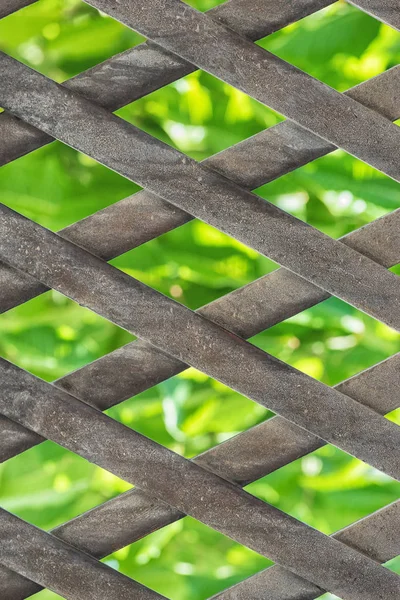Clôture en métal avec feuilles vertes à l'arrière-plan — Photo