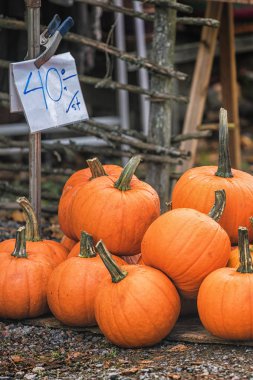 Kabaklar bir sokak mevsimlik piyasalarının İsveç'te satışa