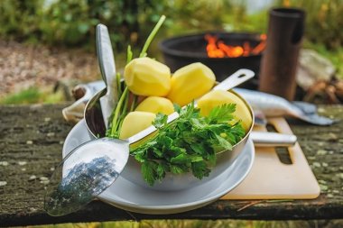 Sebze ve balık ormandaki açık havada açık ateşte pişirmeye hazırlama