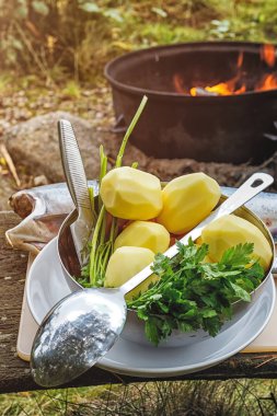 Sebze ve balık ormandaki açık havada açık ateşte pişirmeye hazırlama