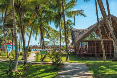 Bahçe görünümü ile Hindistan cevizi ağaçları ve tropik sunnit plaj evinde.