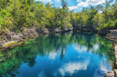 Derin deniz Mağarası tropikal balık ve yeşil ağaçları ile resmi. Cueva de los Peces