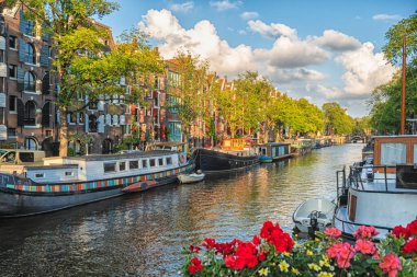 Güzel cadde manzaraları, antik binalar, insanlar, Amsterdam 'ın setleri..