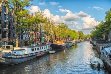 Güzel cadde manzaraları, antik binalar, insanlar, Amsterdam 'ın setleri..