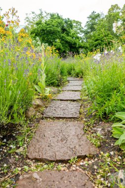 Parktaki yeşil çimenli taş blok patikası.