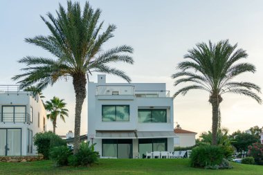 Güney tatil köyünde yol boyunca güzel beyaz evleri ve palmiye ağaçları olan bir cadde..