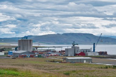 Göl ve ormanın yanındaki fabrikada. Kuşlar gölün üzerinde uçuyor.