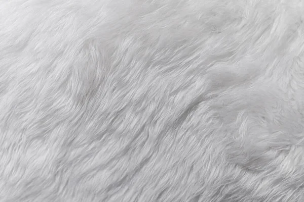 Λευκό Γούνα Προβάτου Φόντο Υφή — Φωτογραφία Αρχείου