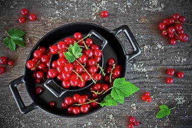Siyah bir tabak içinde hasat kırmızı kuş üzümü