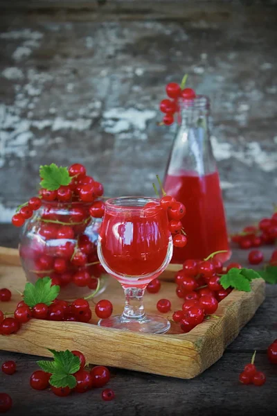 Liqueur of red currant in the glass and fresh berries — Stock Photo, Image