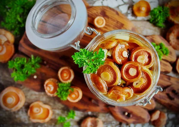 Marine mantar Tirmit bir cam kavanoz