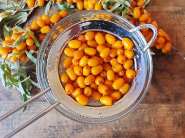 Taze olgun deniz topalak