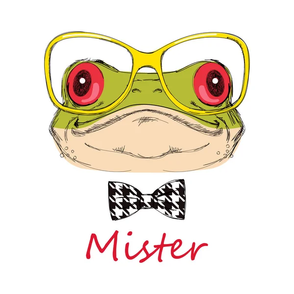 Retrato de una rana sobre fondo blanco con gafas y pajarita. Ilustración vectorial . — Vector de stock