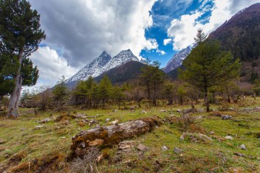 Dört kız dağ (Mt. Siguniangshan) manzara alanı Batı Çin ve Qiang Özerk İli, Sichuan Eyaleti, Çin bulunan bir bozulmamış vahşi parkıdır