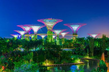 Singapur-Haziran 26,2015: Super Tree Grove Gardens Körfez Singapur gece manzarası. Yayma 101 hektar ve Bayfront Mrt İstasyonu'na 5 dakikalık yürüme.