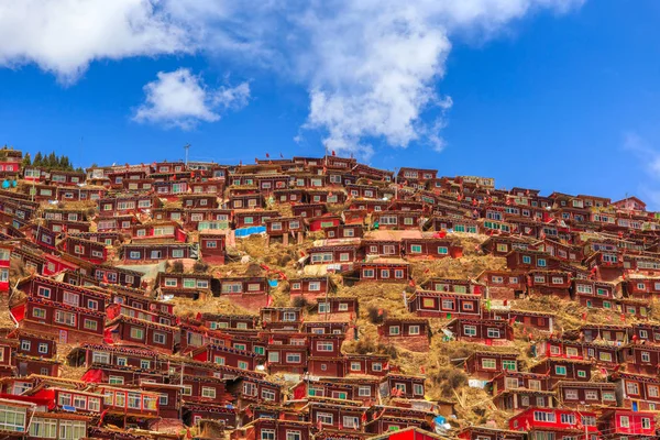 Larung가 르 (불교 아카데미) 햇볕에 배경에서 빨간 수도원은 푸른 하늘, 쓰촨 성, 중국 — 스톡 사진