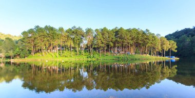 Güneş, Pang-ung, çam orman park panorama görünümünde, Mae Hong Son, Kuzey Tayland