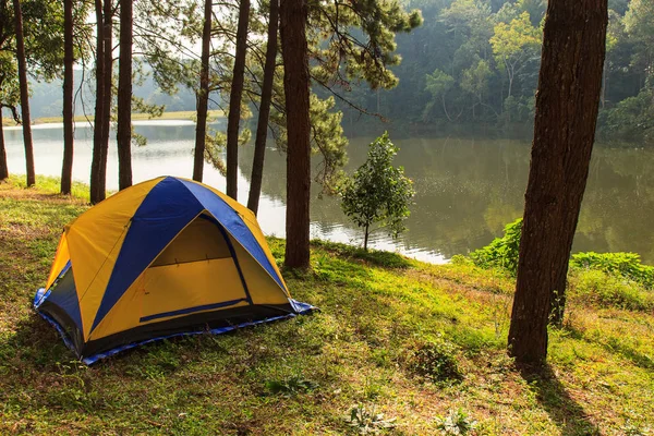 Camping im Wald Kiefern, Pangung Forstwirtschaft Plantagen, Mahongson Provinz, nördlich von Thailand — Stockfoto