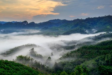 Dağlar ve sis sabah ışık ile.