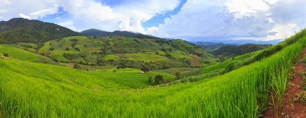Panorama zelené terasovité rýžové pole v Mae Klang Luang, Mae Chaem, Chiang Mai, Thajsko — Stock fotografie