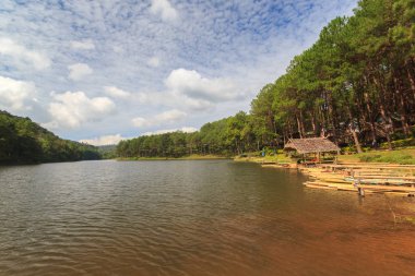 Pang-ung, çam ormanı Parkı, Mae Hong Son, Kuzey Tayland, güneş