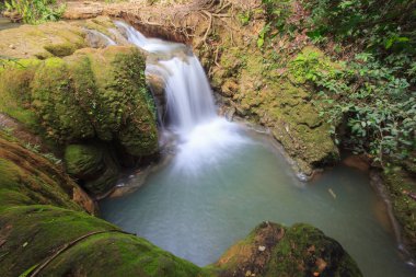 Ormandaki güzel küçük şelale