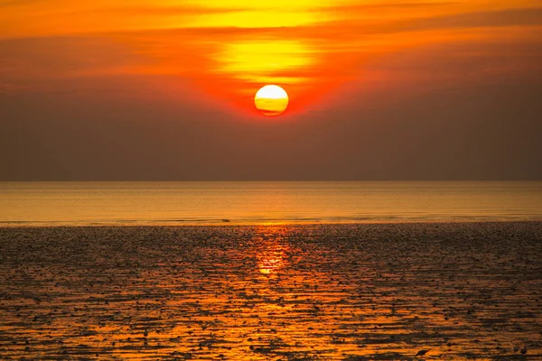 Doğada güzel günbatımı zaman