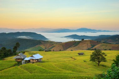 Teraslı Paddy alanında Mae-reçel Village, Chiang Mai Province, Tayland