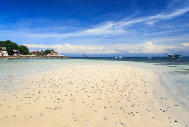 Lagoon tekne ve güneşli gün, beyaz kum plaj üzerinde palmiye ağacı. Koh Tao Island, Tayland