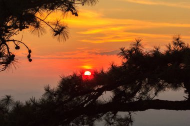Phu Kradueng Milli Parkı: Loei il Tayland gün batımında