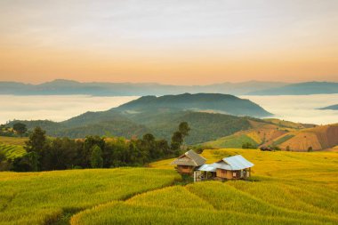 Mae-reçel Village, Chiang Mai Province, Tayland teraslı Paddy alanında güneş doğarken