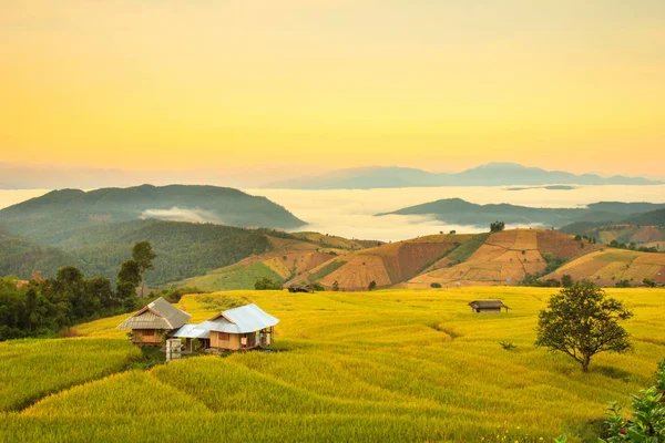 Mae-reçel Village, Chiang Mai Province, Tayland teraslı Paddy alanında güneş doğarken