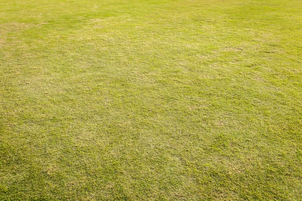 Gramado com grama verde. Grama verde para fundo . — Fotografia de Stock