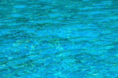 mavi su ve tropikal plaj