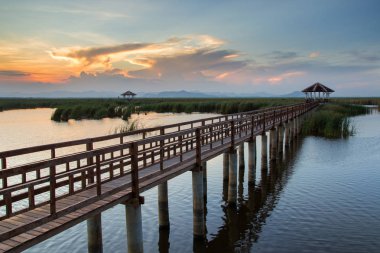 Tahta köprü günbatımı zamanında lotus gölde Khao Sam ROI Yot Milli Parkı, Tayland