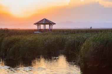 Tahta köprü günbatımı zamanında lotus gölde Khao Sam ROI Yot Milli Parkı, Tayland