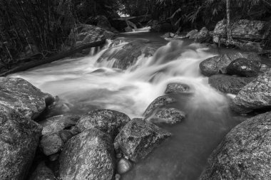 Weir üzerinde nehir siyah ve beyaz