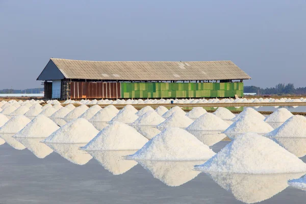 Salt farm with morning light at Phetchaburi Province, Thailand