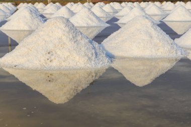 Sabah ışığı ile tuz Çiftliği'nde Phetchaburi Eyaleti, Tayland