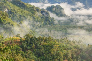 Sis dağlarda gündoğumu zaman, Baan Nai Wong, Ranong Eyaleti, Tayland at tabakası