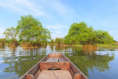 Lamphu ağaç su, Phatthalung, Tayland.