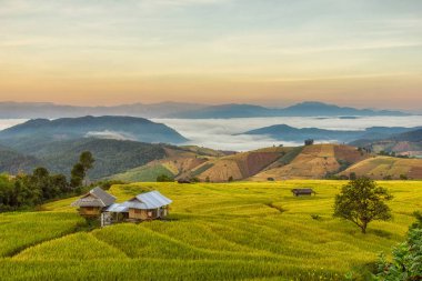 Mae-reçel Village, Chiang Mai Province, Tayland teraslı Paddy alanında güneş doğarken
