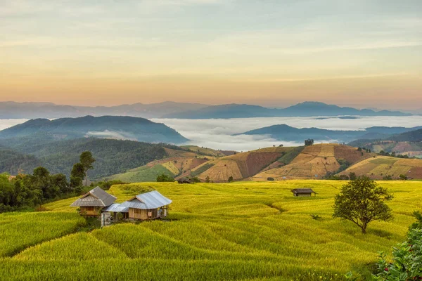 Východ slunce na terasovitý neloupané pole v Mae-Jam Village, Chiang Mai Province, Thajsko — Stock fotografie