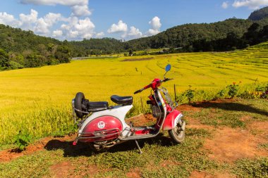 Chiang Mai, Tayland - 1 Kasım 2013: Vespa yeşil teraslı pirinç alan Mae Klang Luang, Mae Chaem, Chiang Mai, Tayland, yol boyunca park etmiş