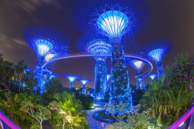 Singapur-Haziran 26,2015: Super Tree Grove Gardens Körfez Singapur gece manzarası. Yayma 101 hektar ve Bayfront Mrt İstasyonu'na 5 dakikalık yürüme.