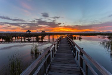 Tahta köprü günbatımı zamanında lotus gölde Khao Sam ROI Yot Milli Parkı, Tayland