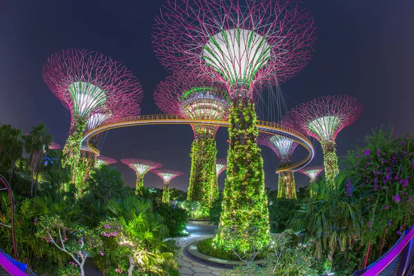 新加坡 6 月 26,2015︰ 夜景的超级树格罗夫在新加坡湾花园。跨越 101 公顷和从海湾地铁站步行五分钟. — 图库照片
