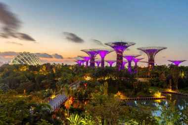 Singapur-Haziran 28,2015: Super Tree Grove Gardens Körfez Singapur gece manzarası. Yayma 101 hektar ve Bayfront Mrt İstasyonu'na 5 dakikalık yürüme.