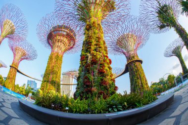 Singapur-Haziran 28,2015: Super Tree Grove Gardens Körfez Singapur gece manzarası. Yayma 101 hektar ve Bayfront Mrt İstasyonu'na 5 dakikalık yürüme.